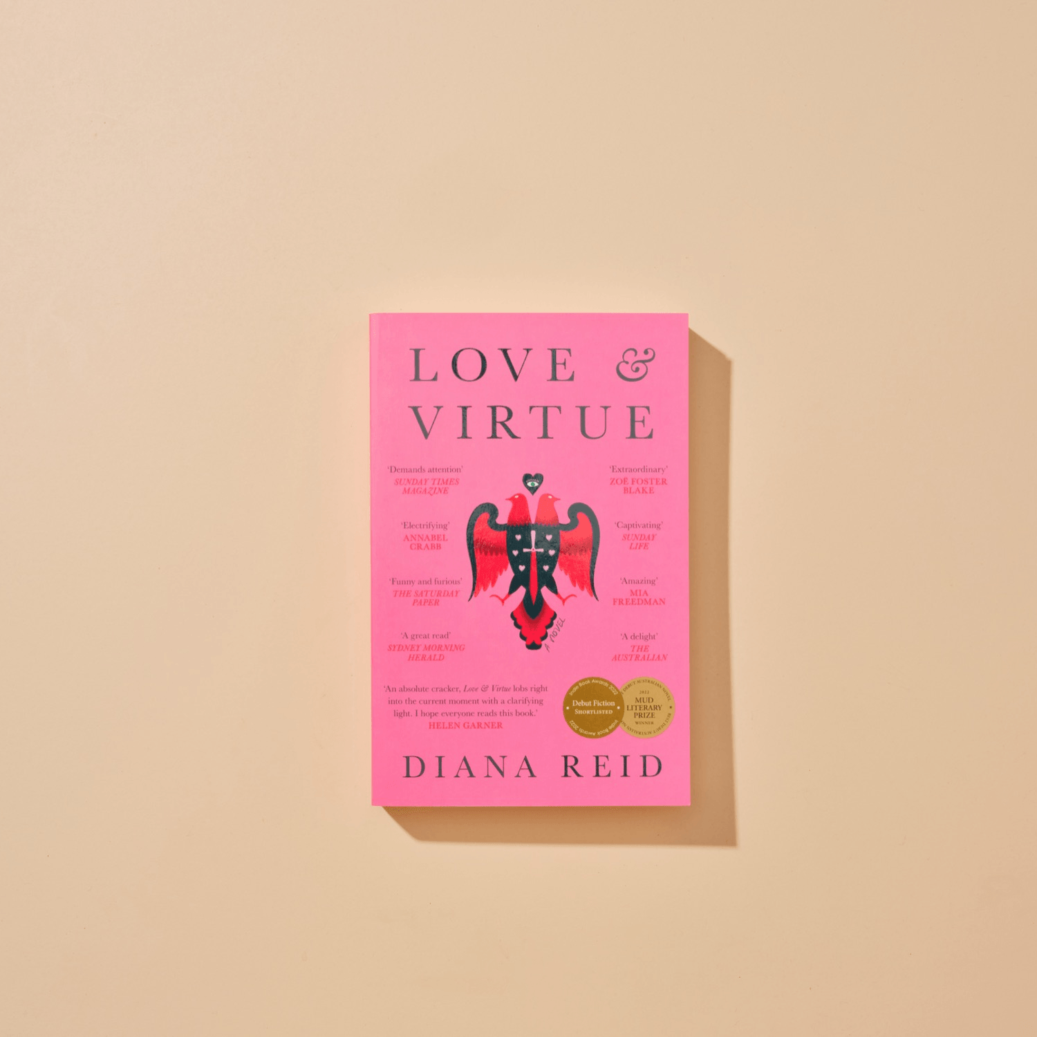 Love and Virtue Book Cover by Diana Reid
